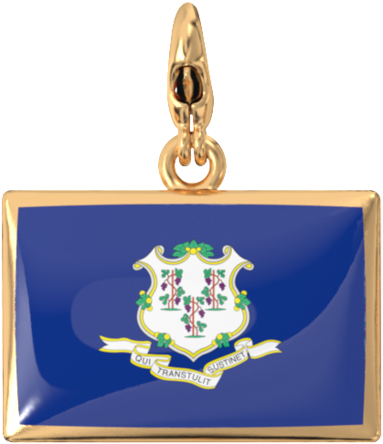 USA State Charm Set media 105