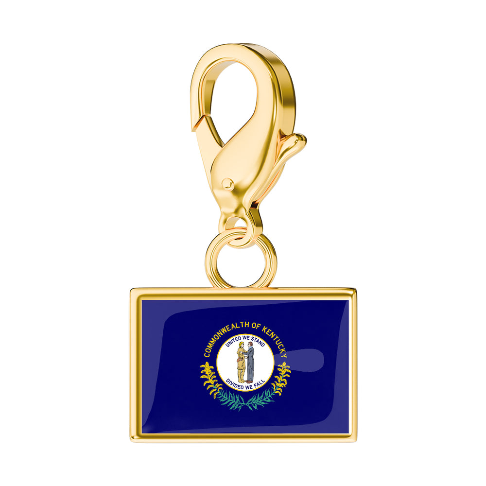 USA State Flag & Map Charms Set media 99
