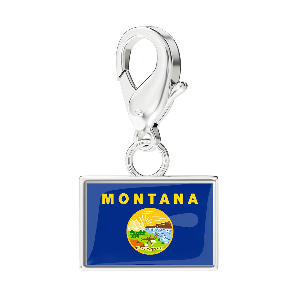 USA State Flag & Map Charms Set media 21