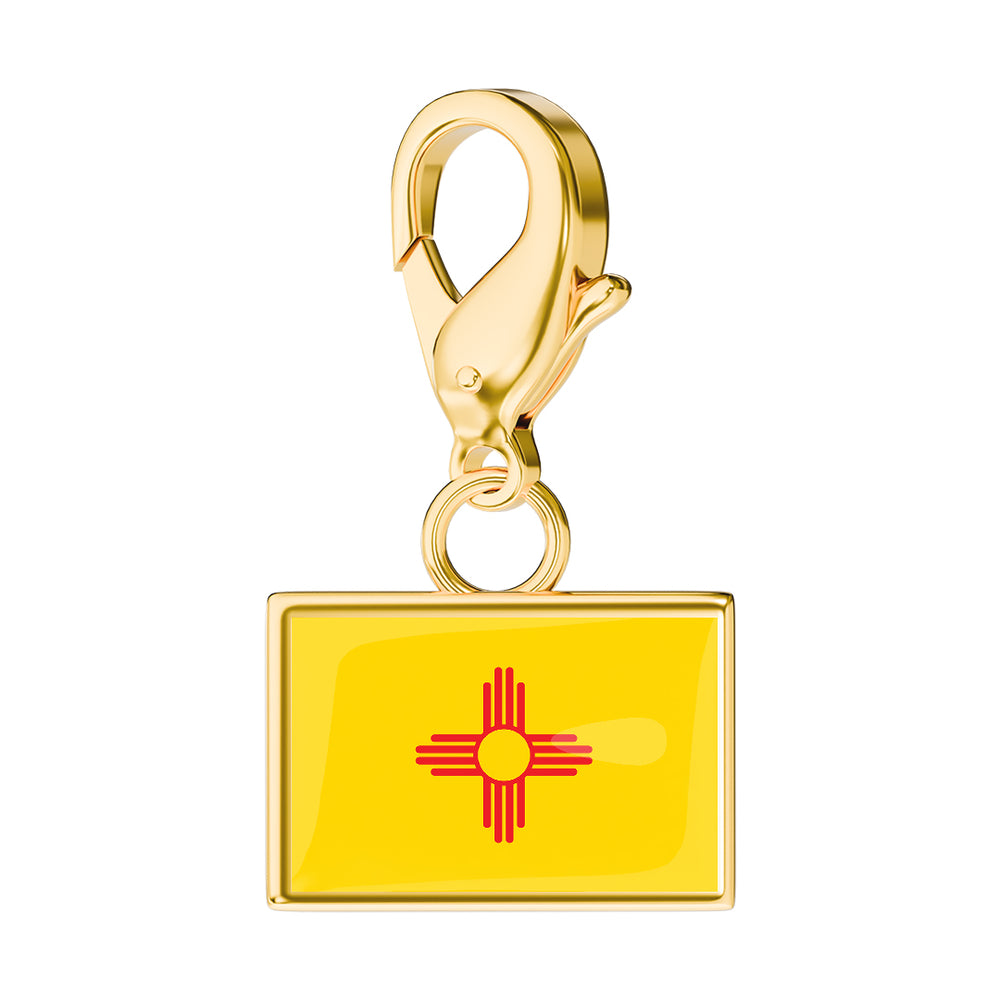 USA State Flag & Map Charms Set media 30
