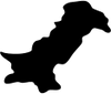 Pakistan