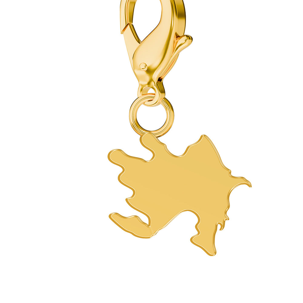 Map Charms media 40