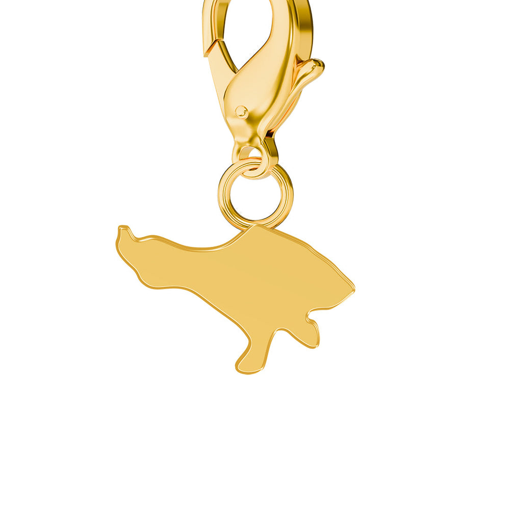 Map Charms media 2