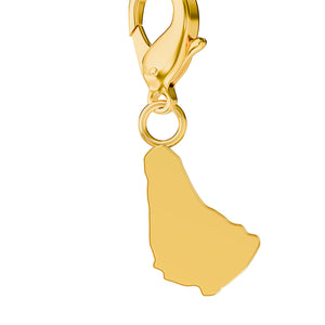 Map Charms media 43