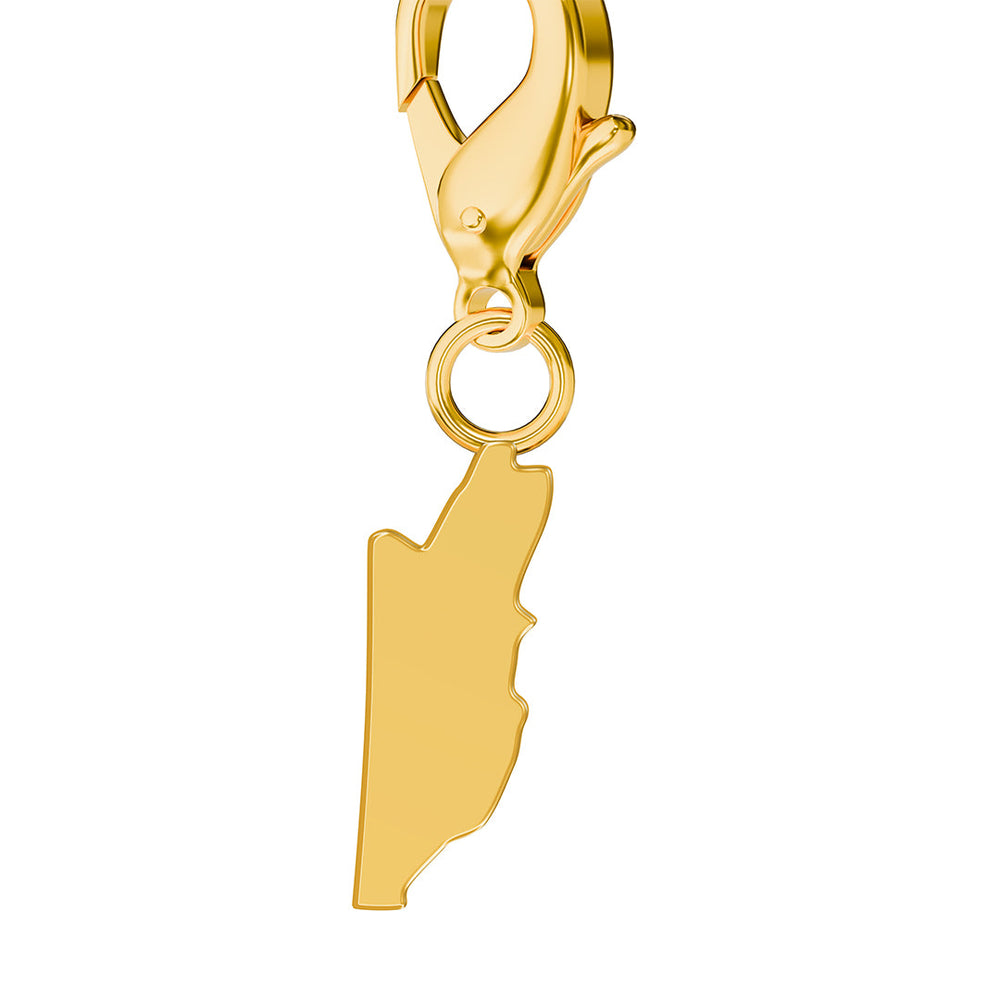Map Charms media 45