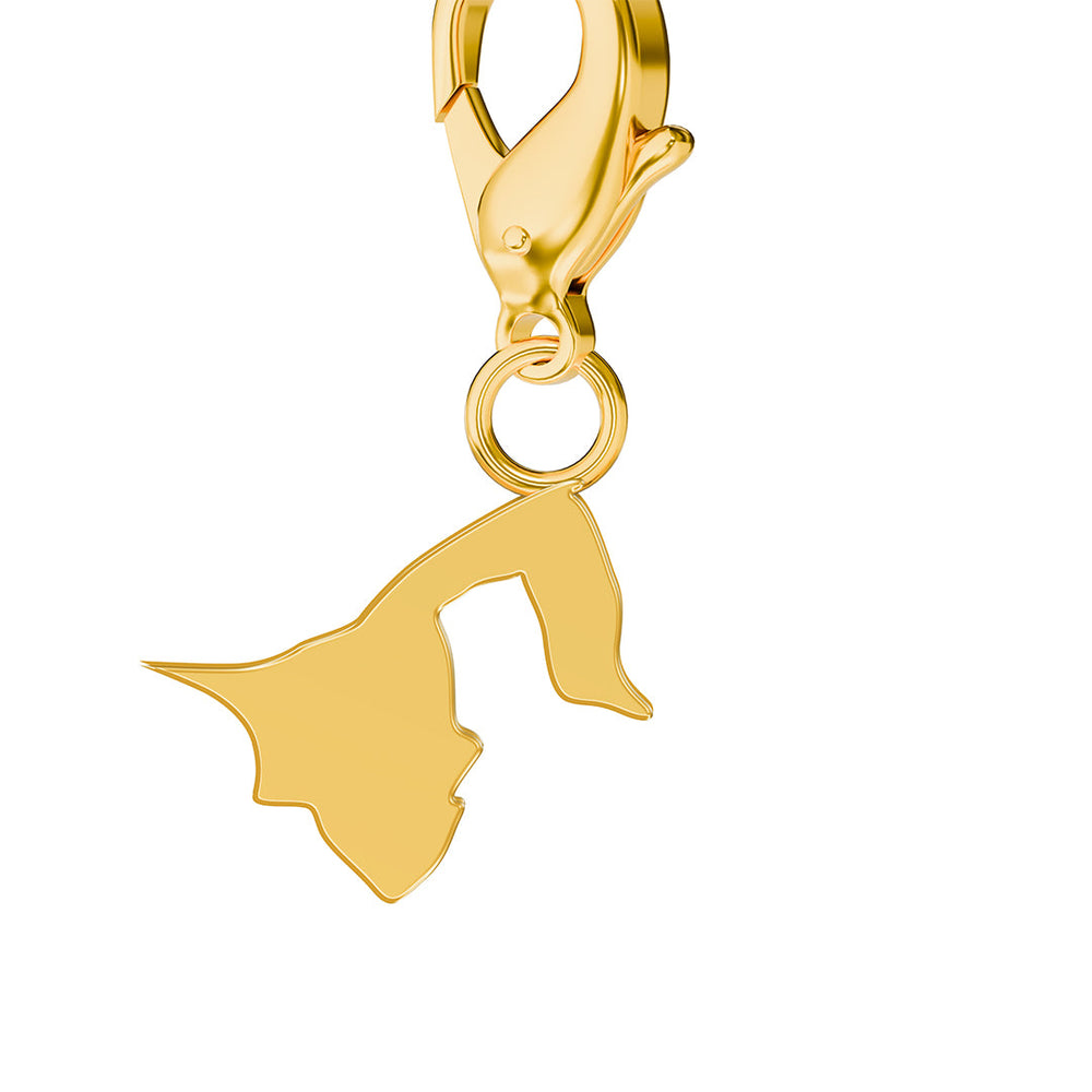 Map Charms media 53