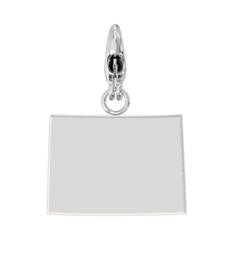 USA State Charm Set media 19