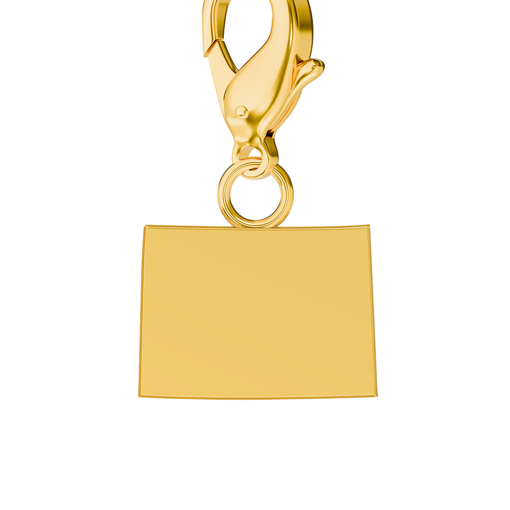 USA State Map Charms media 6