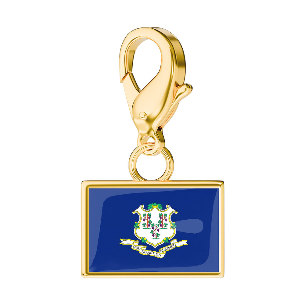 USA State Flag & Map Charms Set media 6