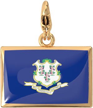 USA State Charm Set media 105