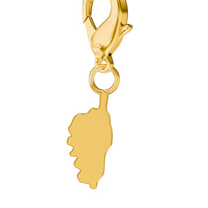 Map Charms media 3