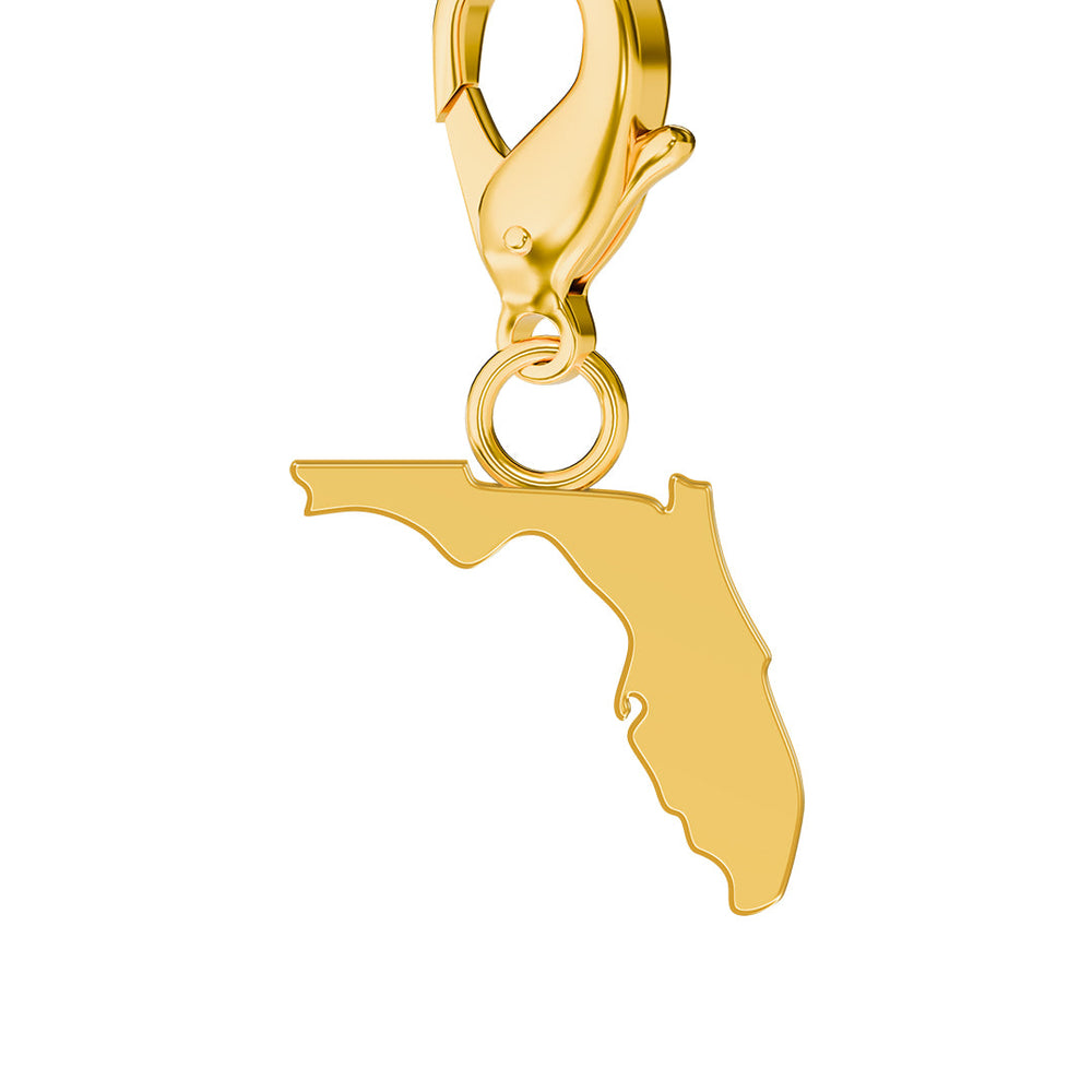 USA State Map Charms media 9