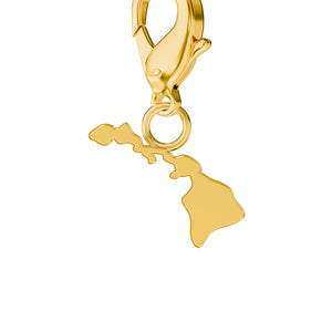 USA State Map Charms media 11