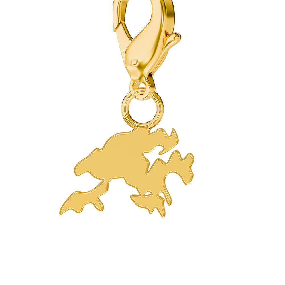 Map Charms media 19