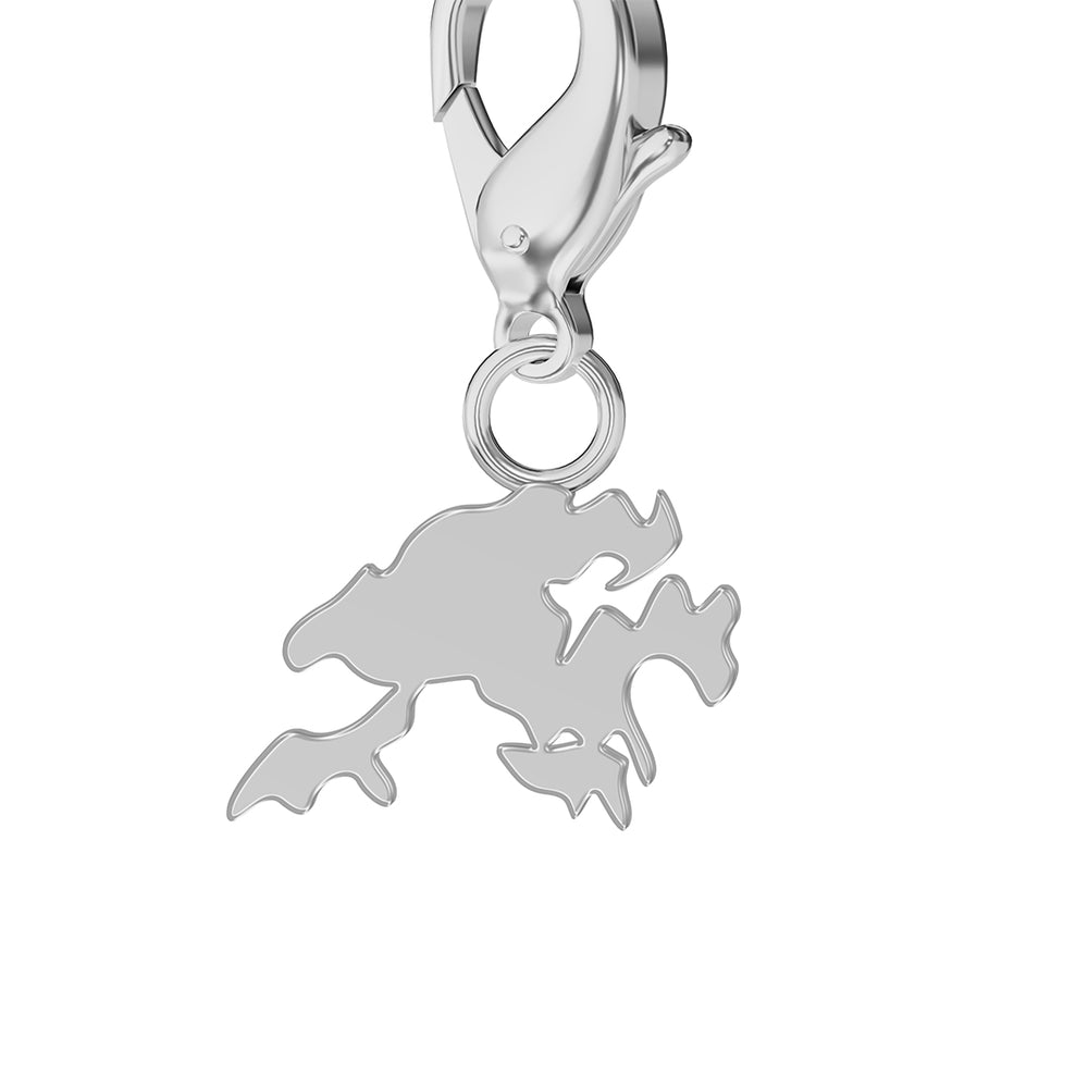 Map Charms media 20