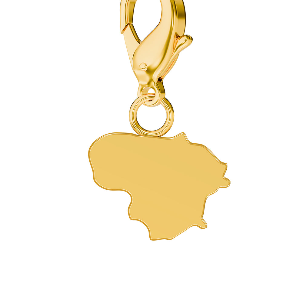 Map Charms media 61