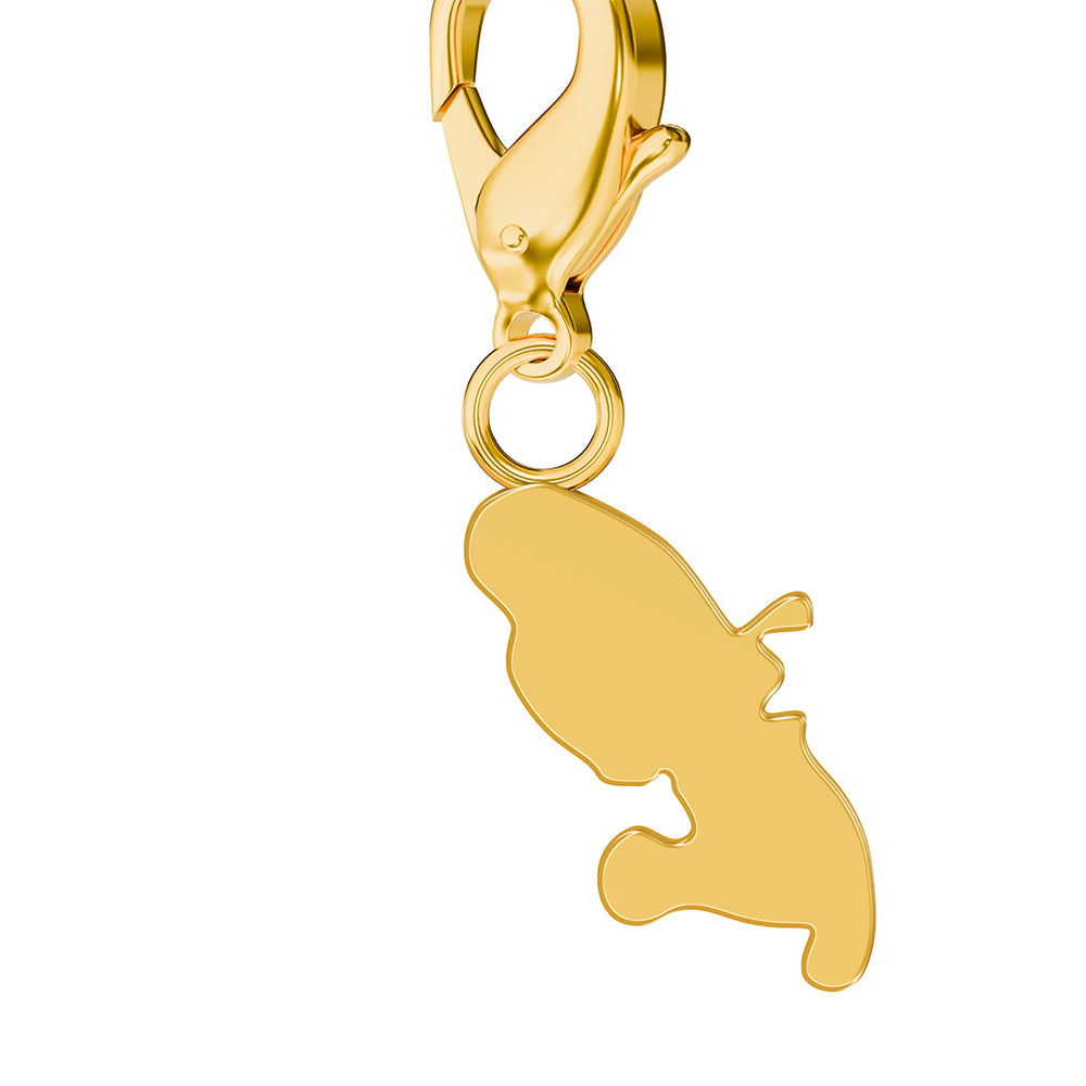 Map Charms media 75