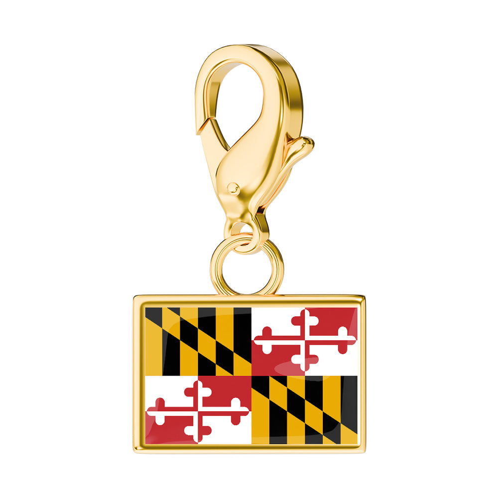 USA State Flag & Map Charms Set media 16