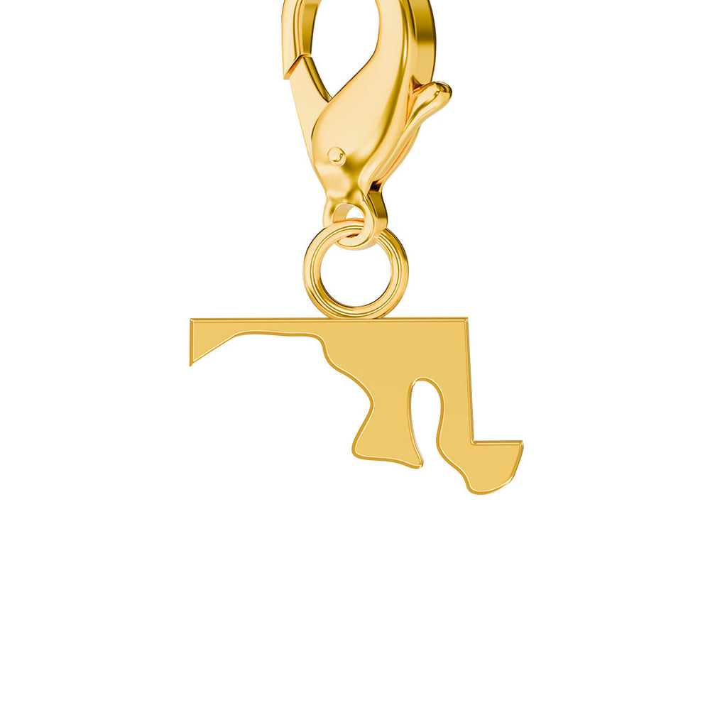 USA State Map Charms media 20
