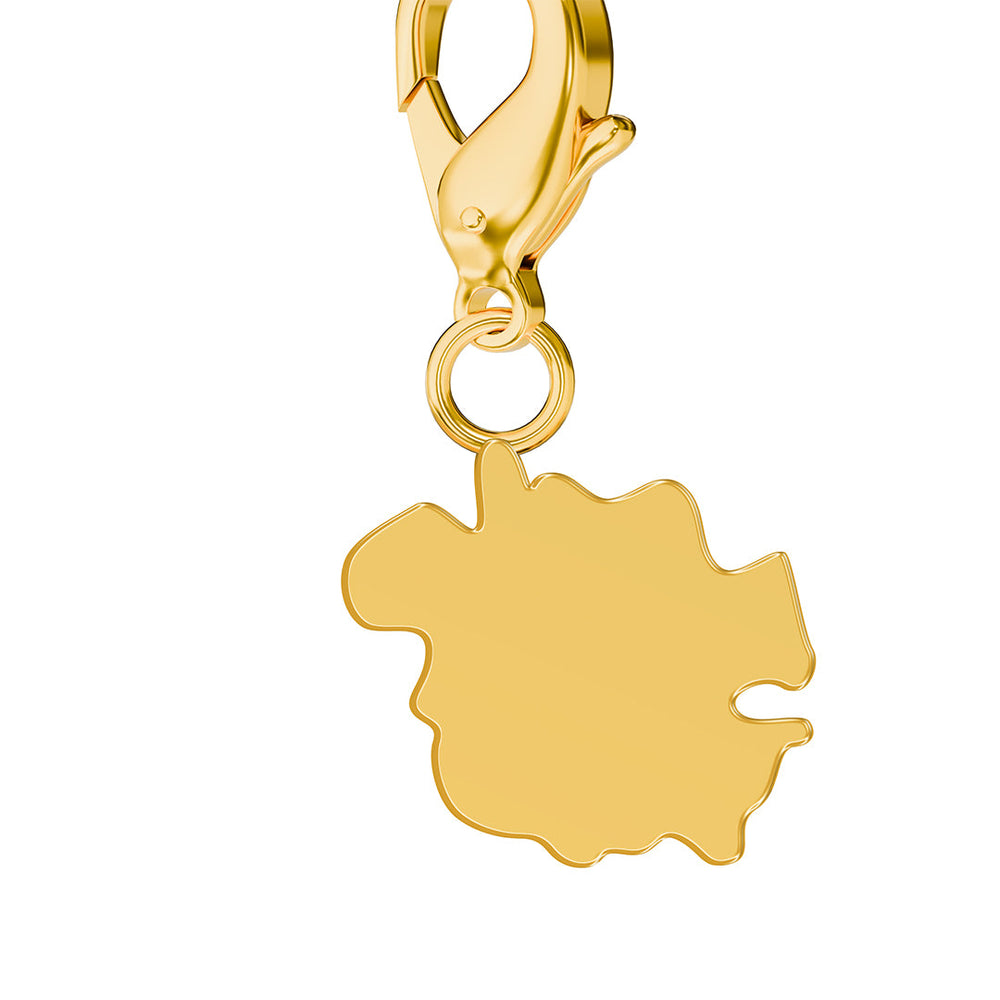 Map Charms media 129