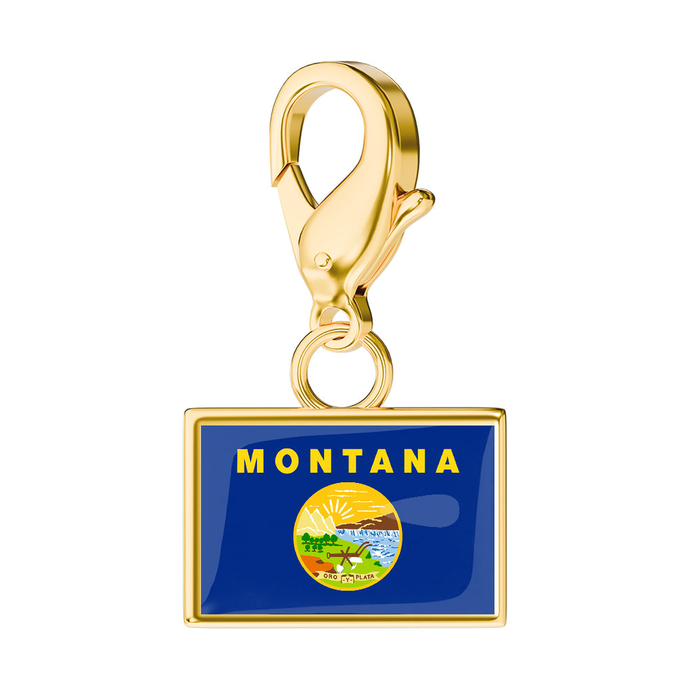 USA State Flag & Map Charms Set media 20