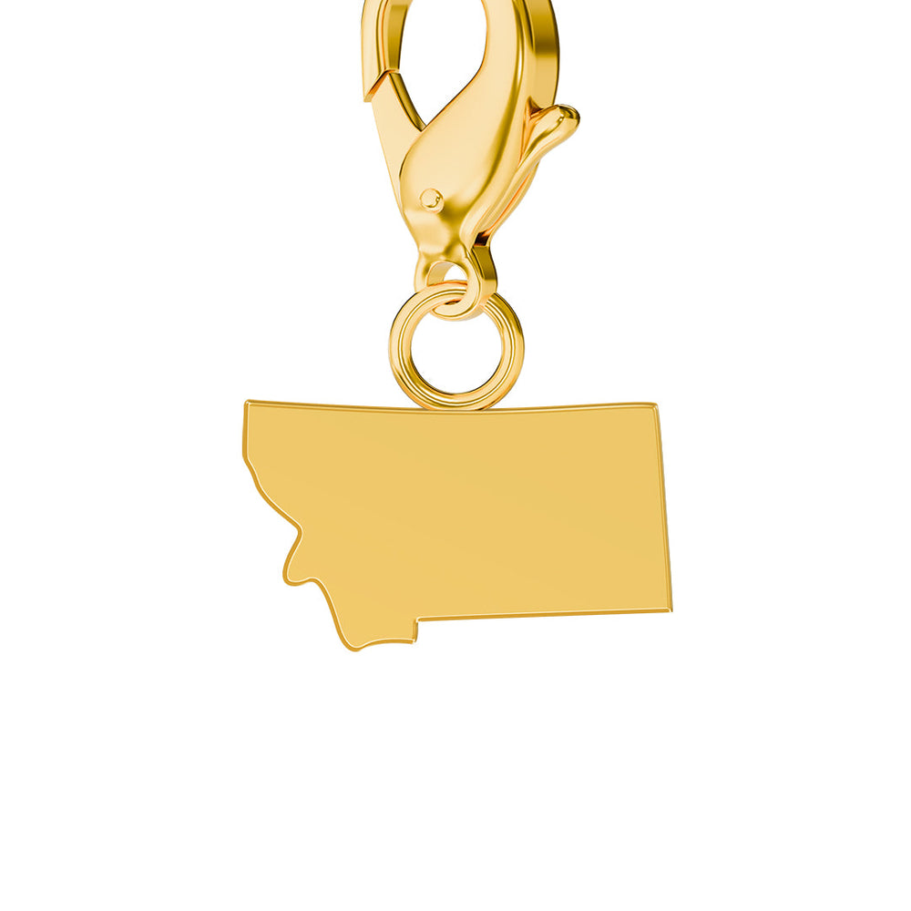 USA State Map Charms media 26