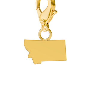 USA State Map Charms media 26