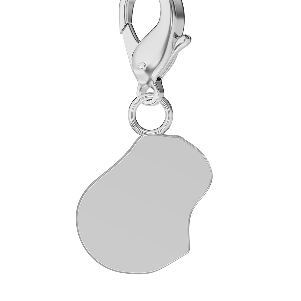 Map Charms media 6