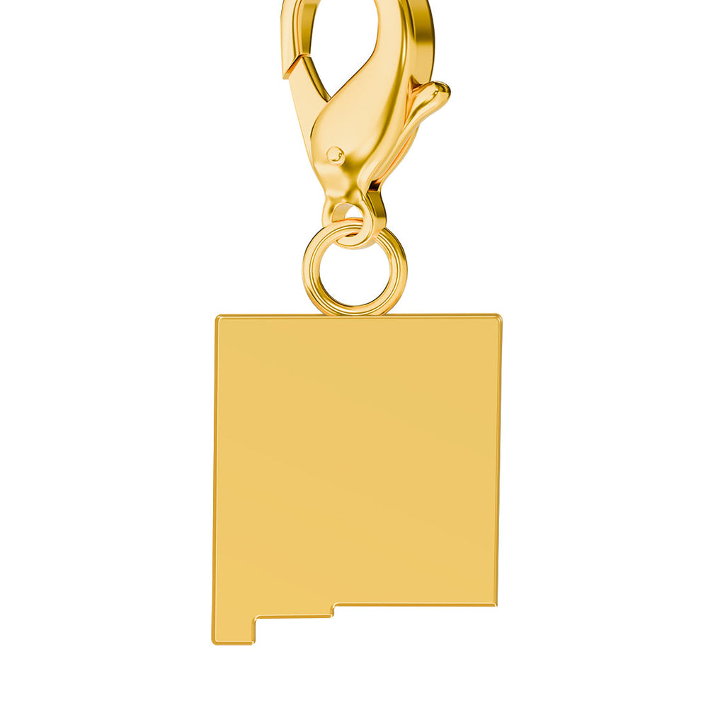 USA State Map Charms media 31