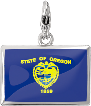 USA State Charm Set media 38