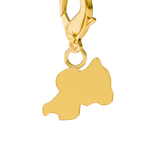 Map Charms media 41