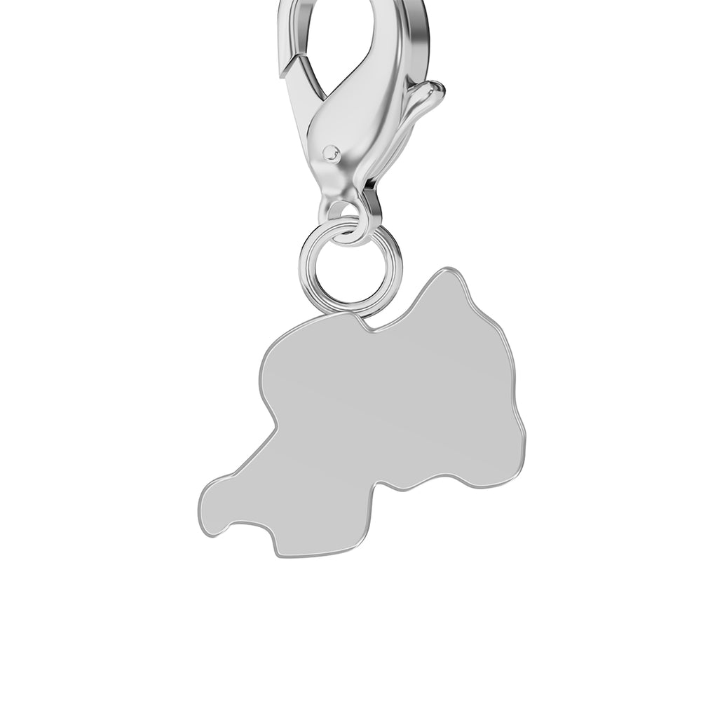 Map Charms media 42