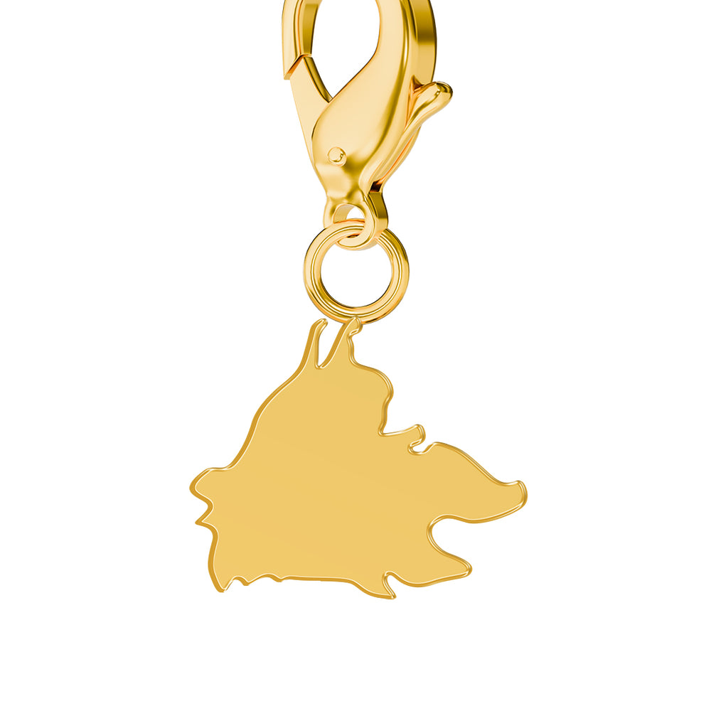 Flag & Map Charms Set (Pre-Order) media 19