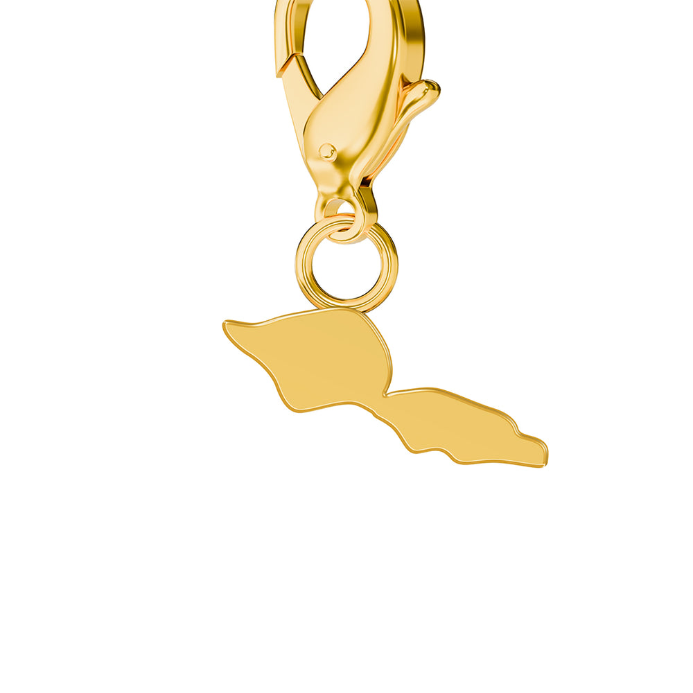 Map Charms media 47