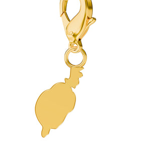 Map Charms media 160
