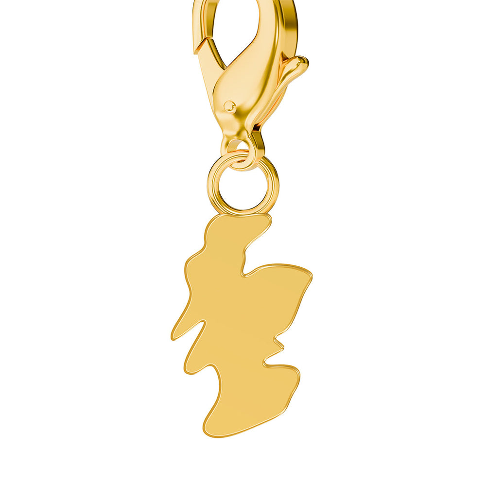 Map Charms media 162