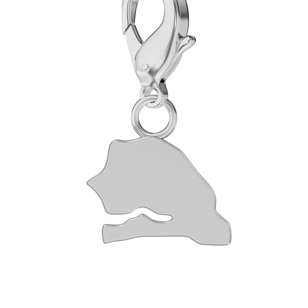 Map Charms media 58