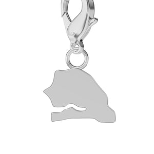 Map Charms media 58