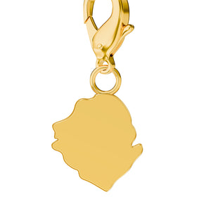 Map Charms media 61