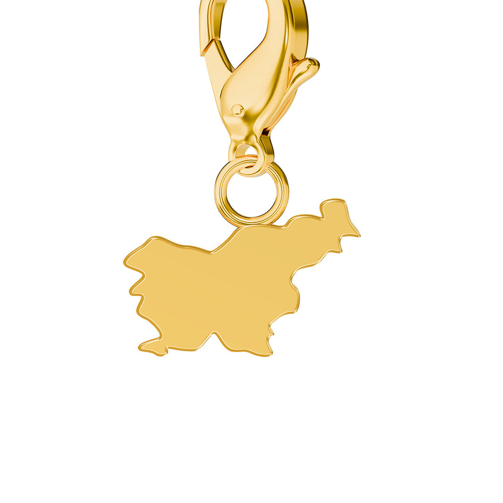 Map Charms media 170
