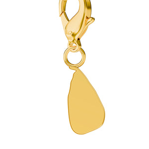 Conjunto de amuletos de bandera y mapa media 3