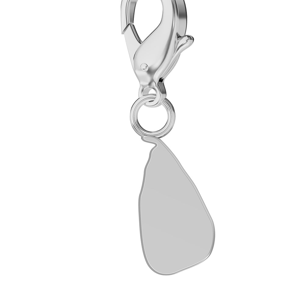 Conjunto de amuletos de bandera y mapa media 4