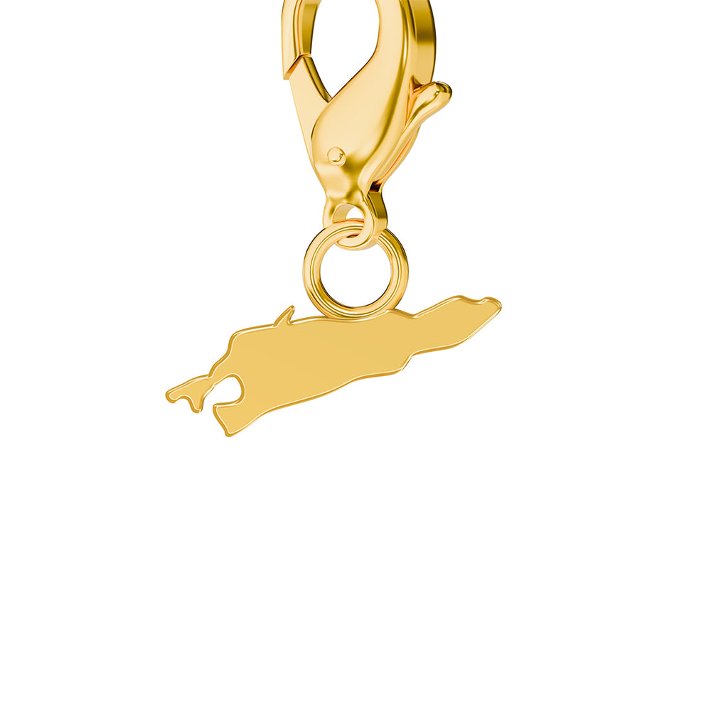 Conjunto de amuletos de bandera y mapa media 22