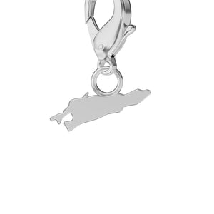 Conjunto de amuletos de bandera y mapa media 23