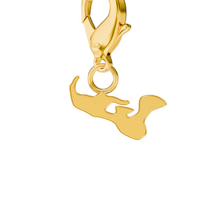 Conjunto de amuletos de bandera y mapa media 26