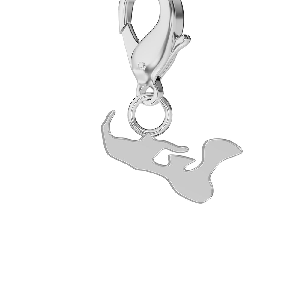 Conjunto de amuletos de bandera y mapa media 27