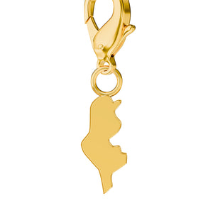 Conjunto de amuletos de bandera y mapa media 30