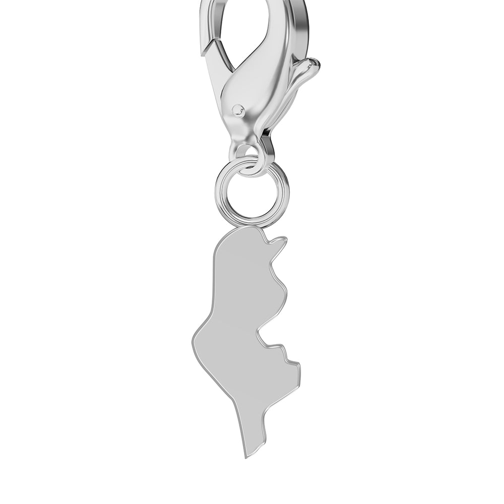 Conjunto de amuletos de bandera y mapa media 31