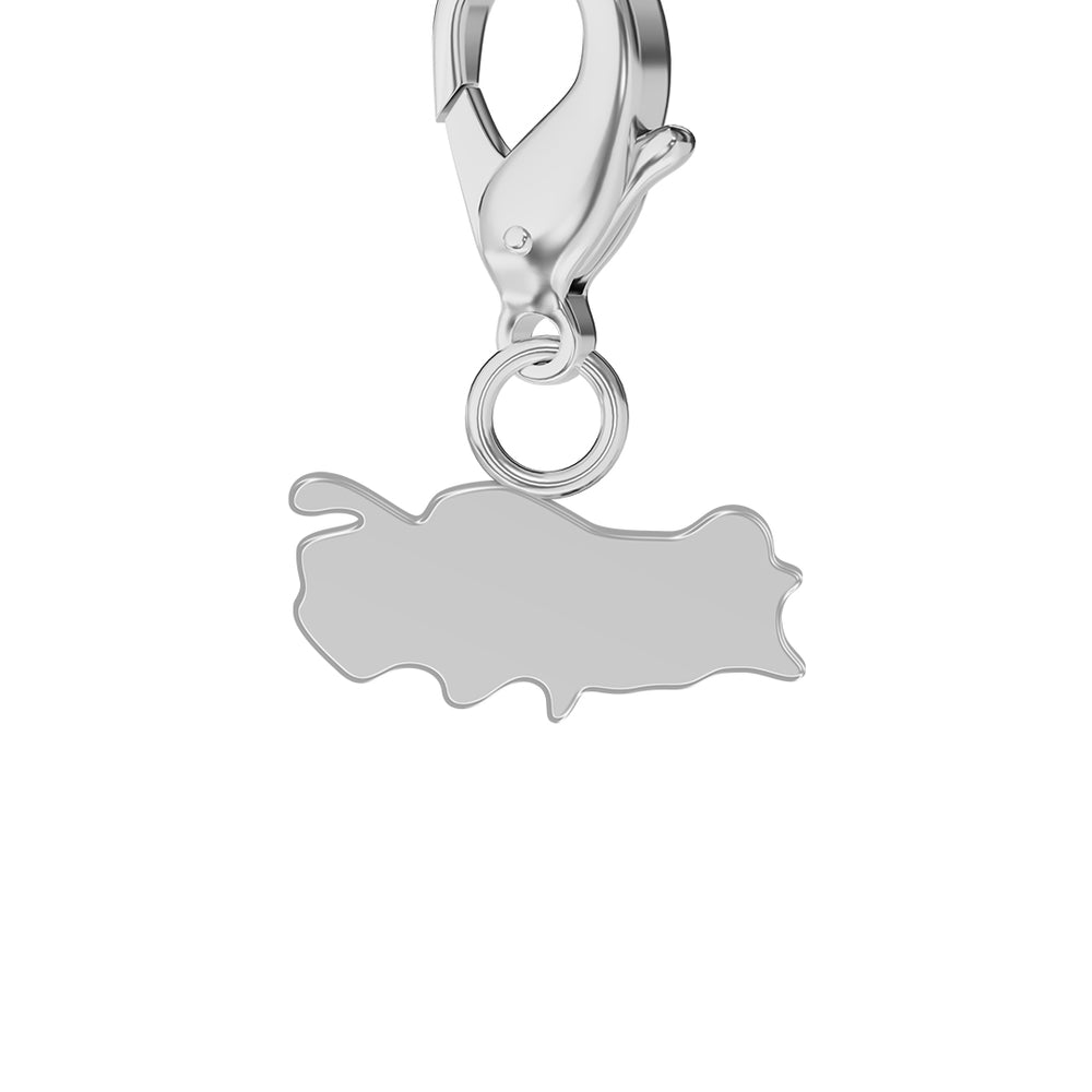 Map Charms media 46