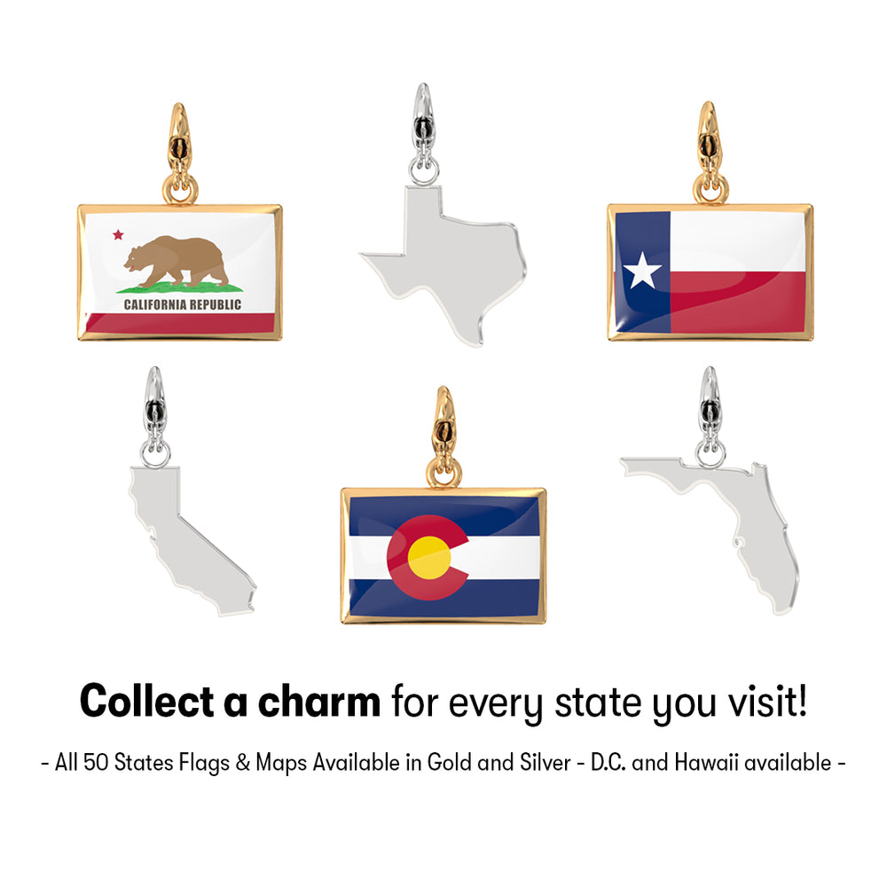 USA State Charm Set media 1